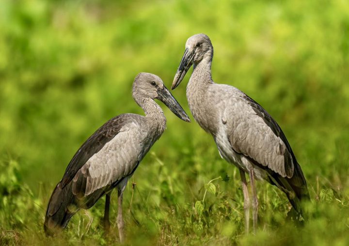 A quiet exchange