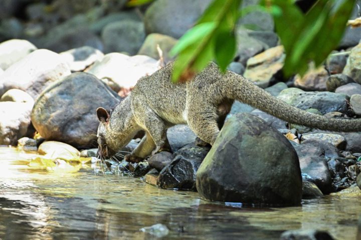 At the stream