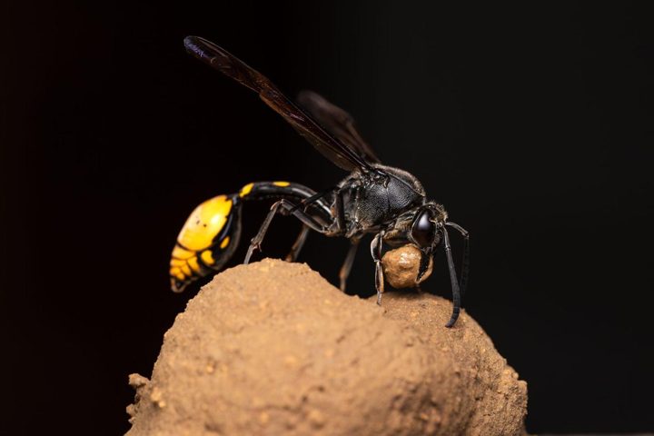 At work in miniature